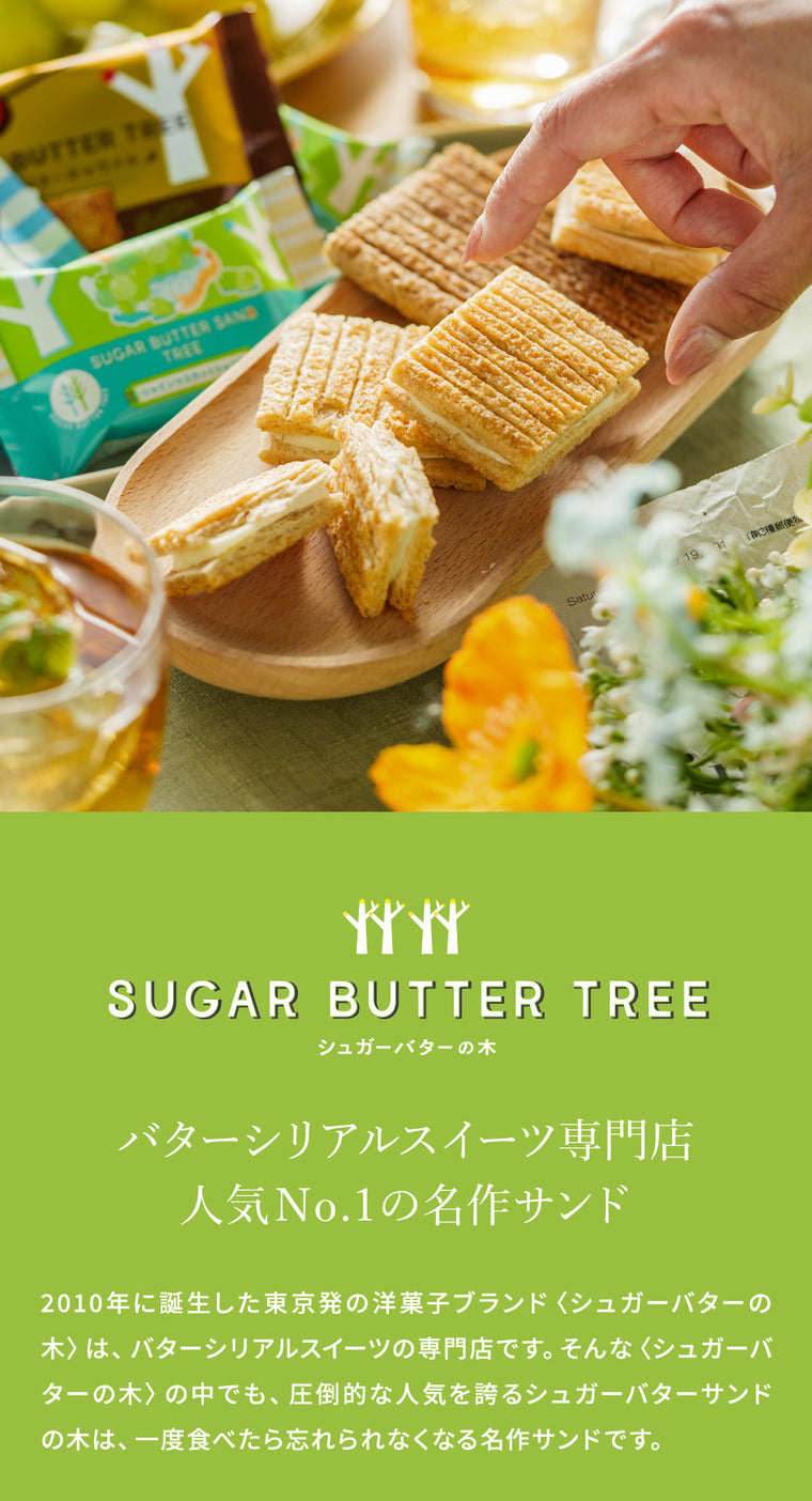 Sugar Butter Sand : Shine Muscat Chocolate (Summer Limited Edition)【Sugar Butter Sand Tree】