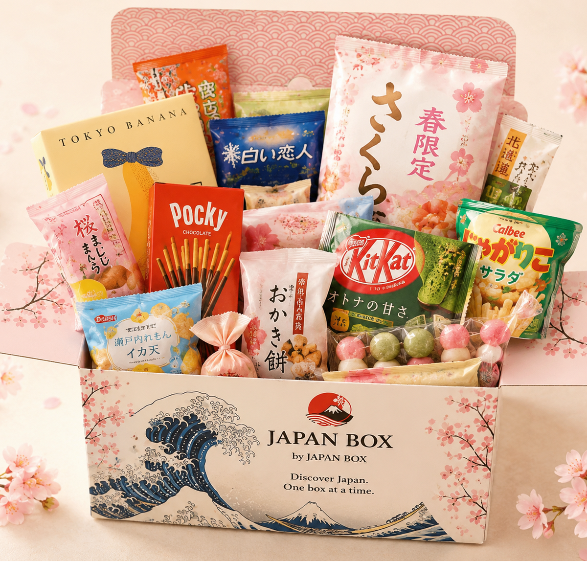 Classic Box ☆Subscription Standard Plan☆