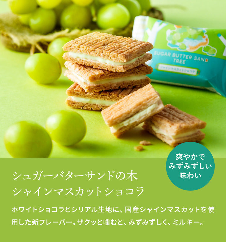 Sugar Butter Sand : Shine Muscat Chocolate (Summer Limited Edition)【Sugar Butter Sand Tree】