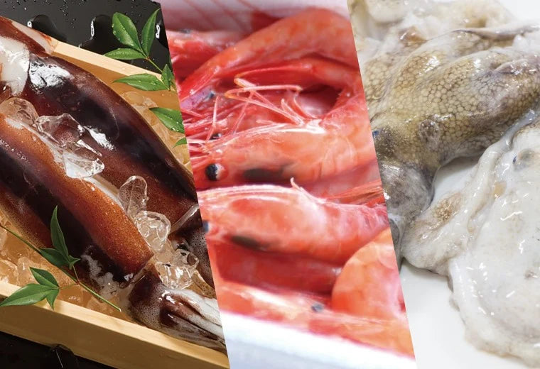 Galletas de mariscos estilo Karaage exclusivas de Tokio 【Echizen Kaisen Club】